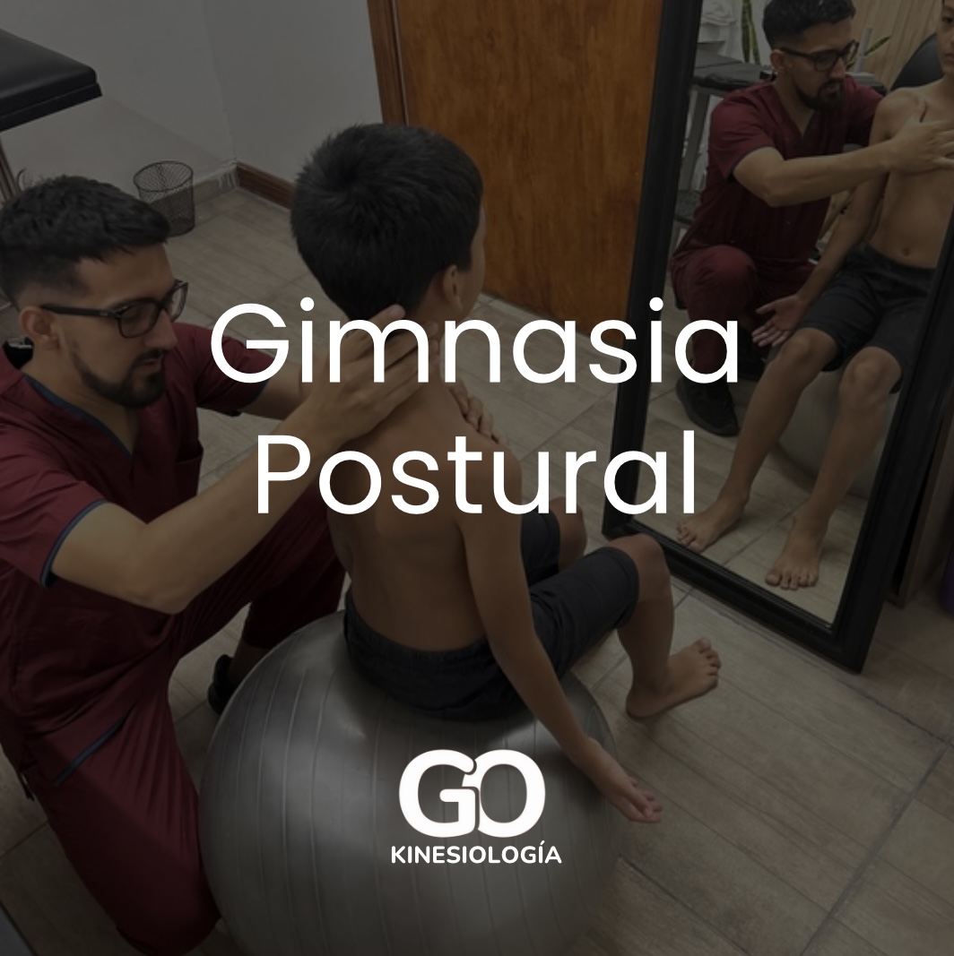 Gimnasia postural en GO Kinesiología